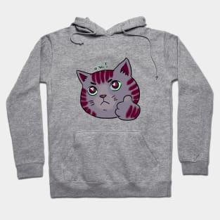 Ok Cat Hoodie